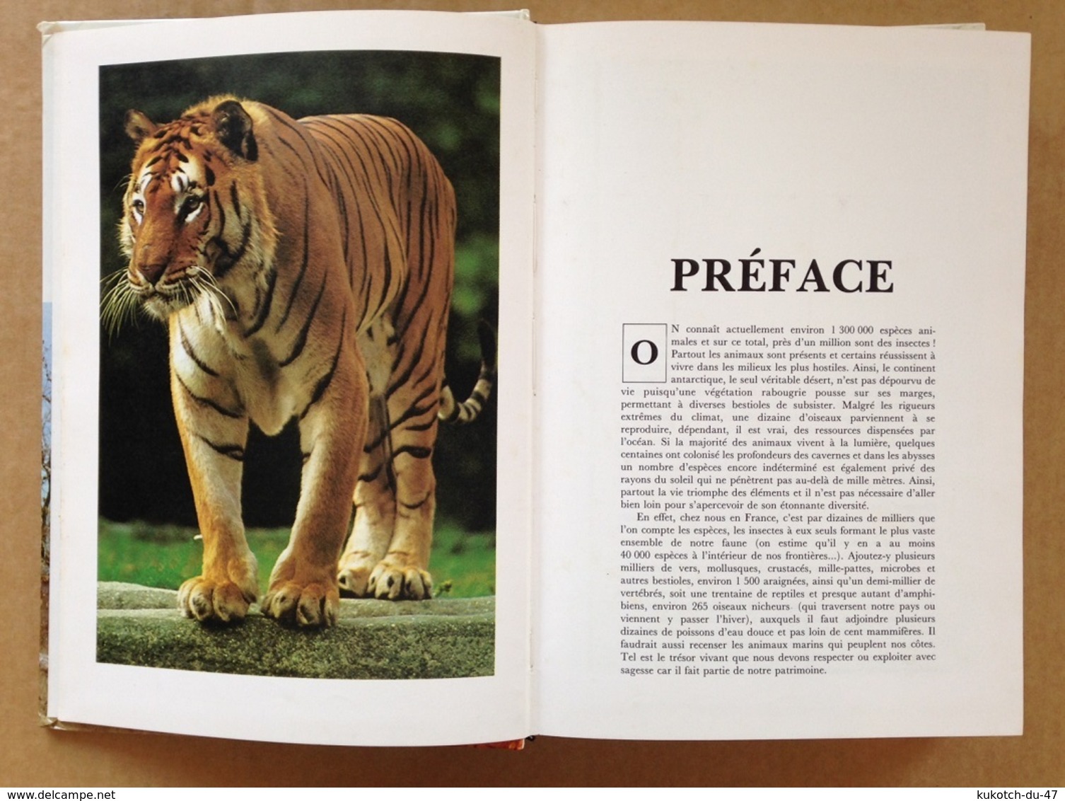 Le Livre Des Animaux Du Monde Entier (1985) - Encyclopédies