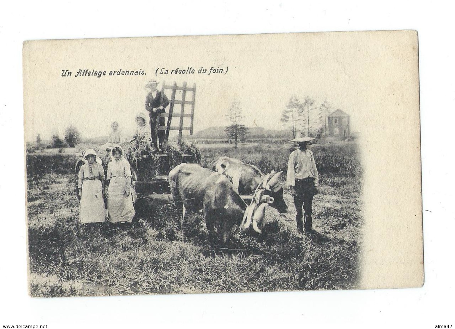 ARDENNES - Attelage Ardennais (la Récolte Des Foins) - Dos Simple - Pas Circulé - Attelages