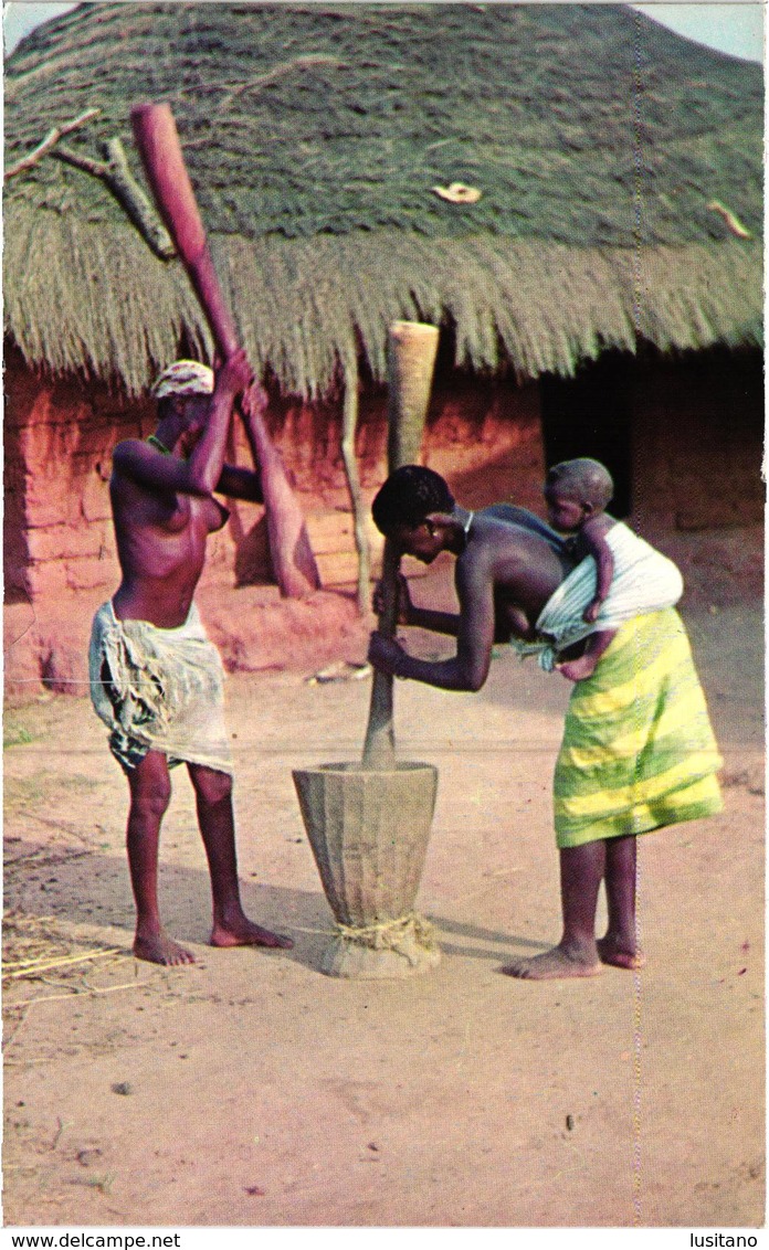 Guinee Portugaise - Portuguese Guinea - Guine Bissau - Pilando Arroz Native Black Nude Girls - Seins Nus  - Old Postcard - Guinea-Bissau