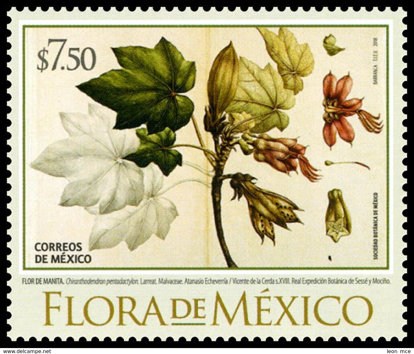 2018 FLORA DE MÉXICO MNH, Handyman Tree TREE & FLOWER (Chiranthodendron Pentadactylon) STAMP MNH - México