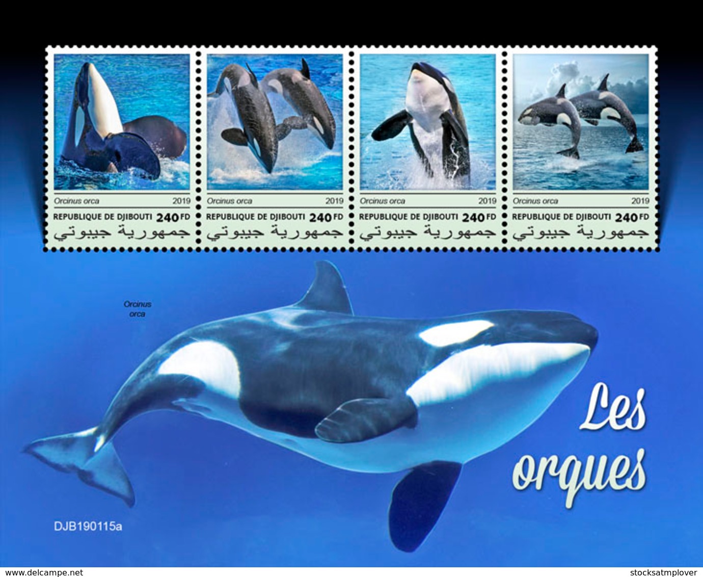 Djibouti 2019  Fauna  Orcas , Whales S201903 - Djibouti (1977-...)