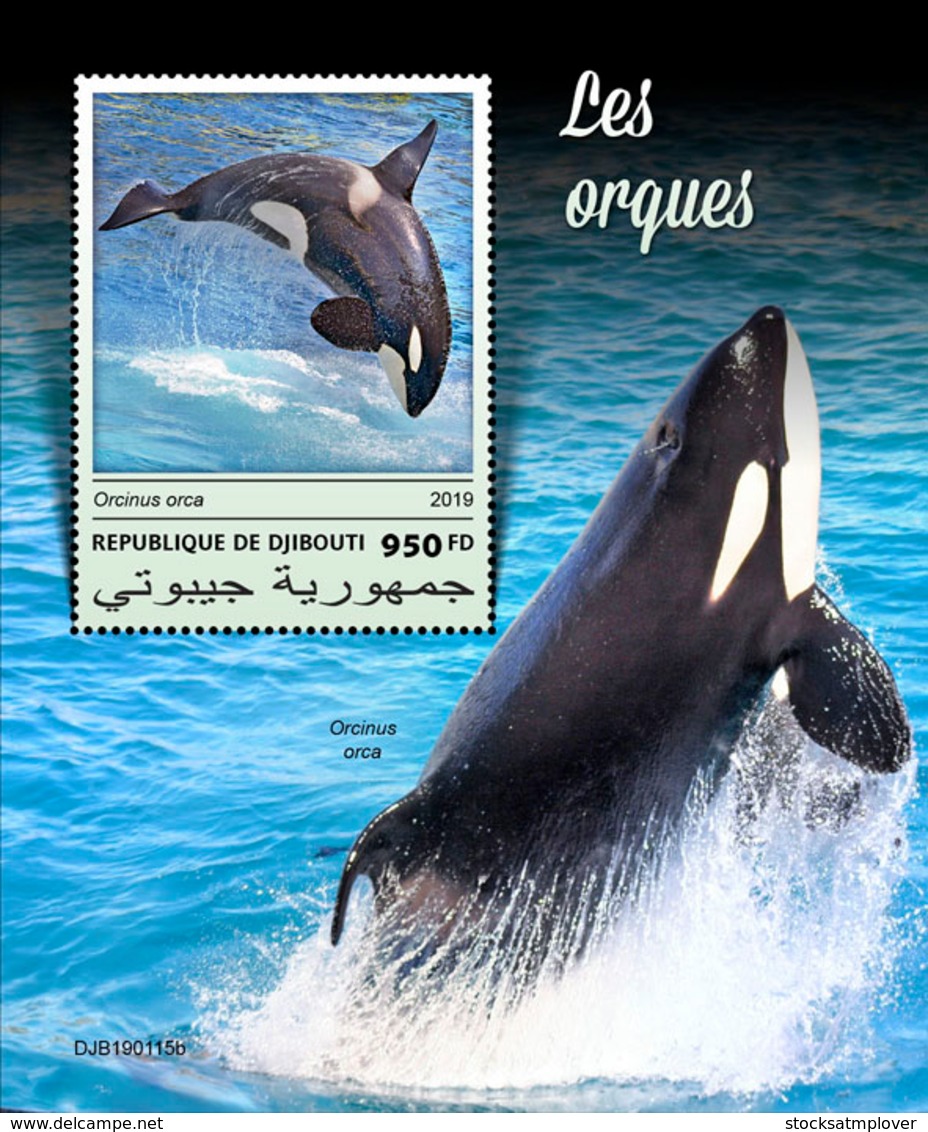 Djibouti 2019  Fauna  Orcas , Whales S201903 - Djibouti (1977-...)