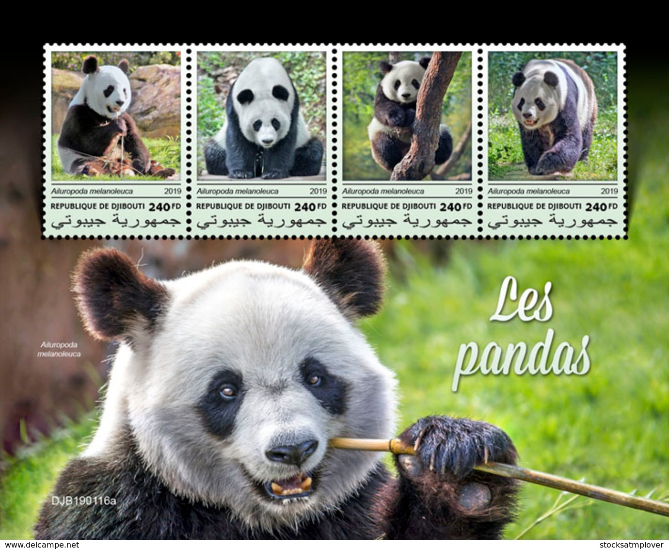 Djibouti 2019  Fauna Pandas S201903 - Djibouti (1977-...)