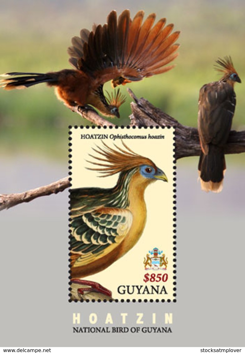 Guyana   2018  Fauna  Hoatzin  NATIONAL BIRD OF GUYANA I201901 - Guiana (1966-...)