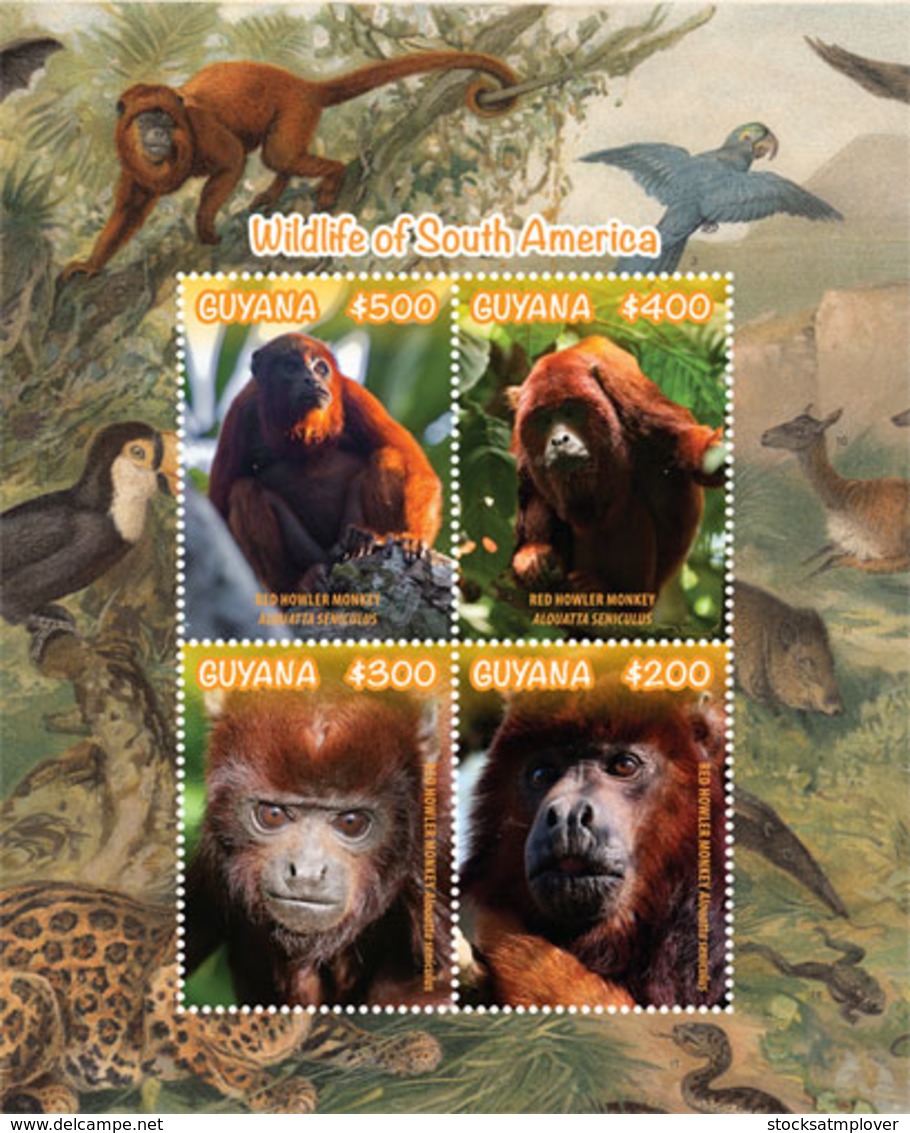 Guyana   2019  Fauna  Wildlife Of South America  , Monkeys  I201901 - Guyana (1966-...)