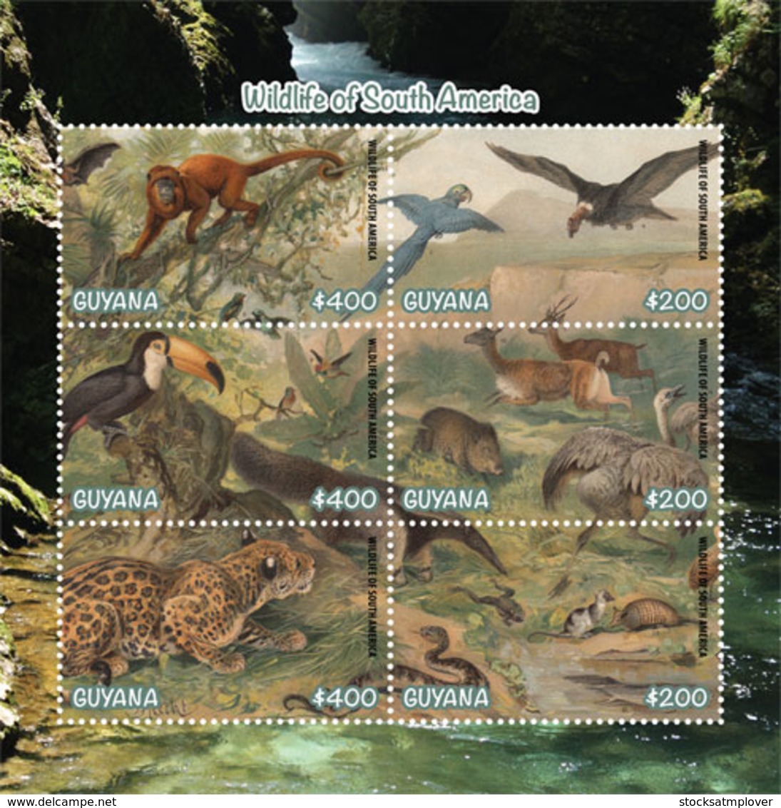 Guyana   2019  Fauna  Wildlife Of South America  ,jaguar ,bird   I201901 - Guyana (1966-...)