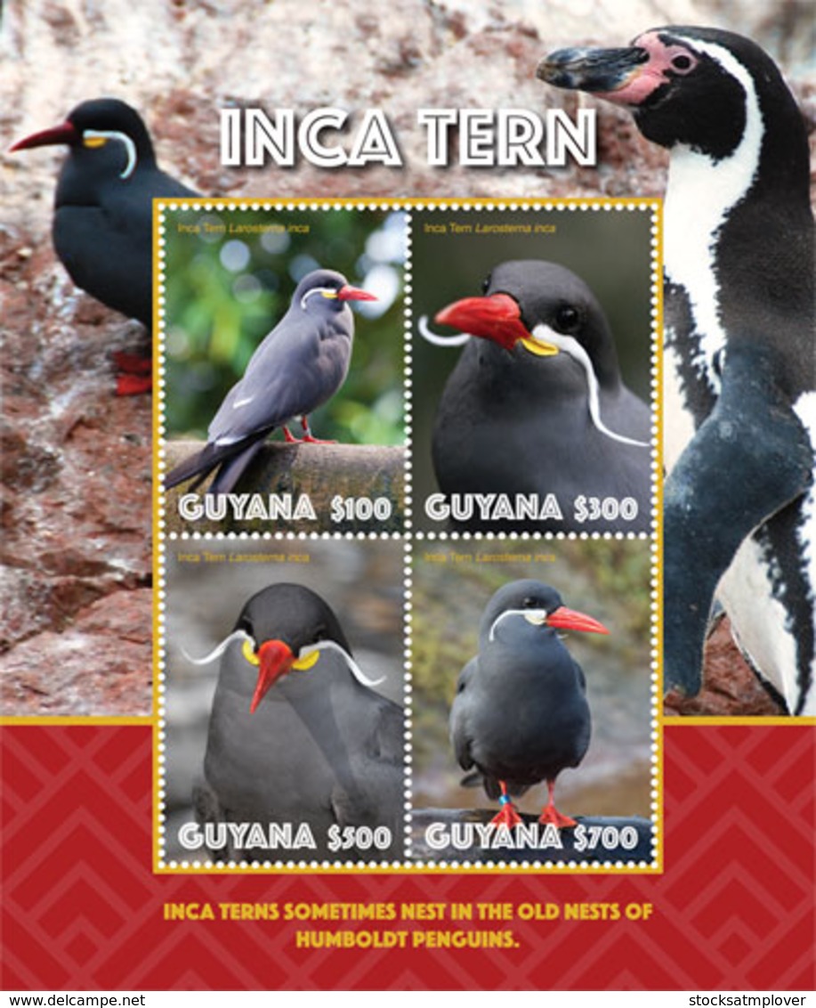 Guyana   2019  Fauna Inca Tern  I201901 - Guyana (1966-...)