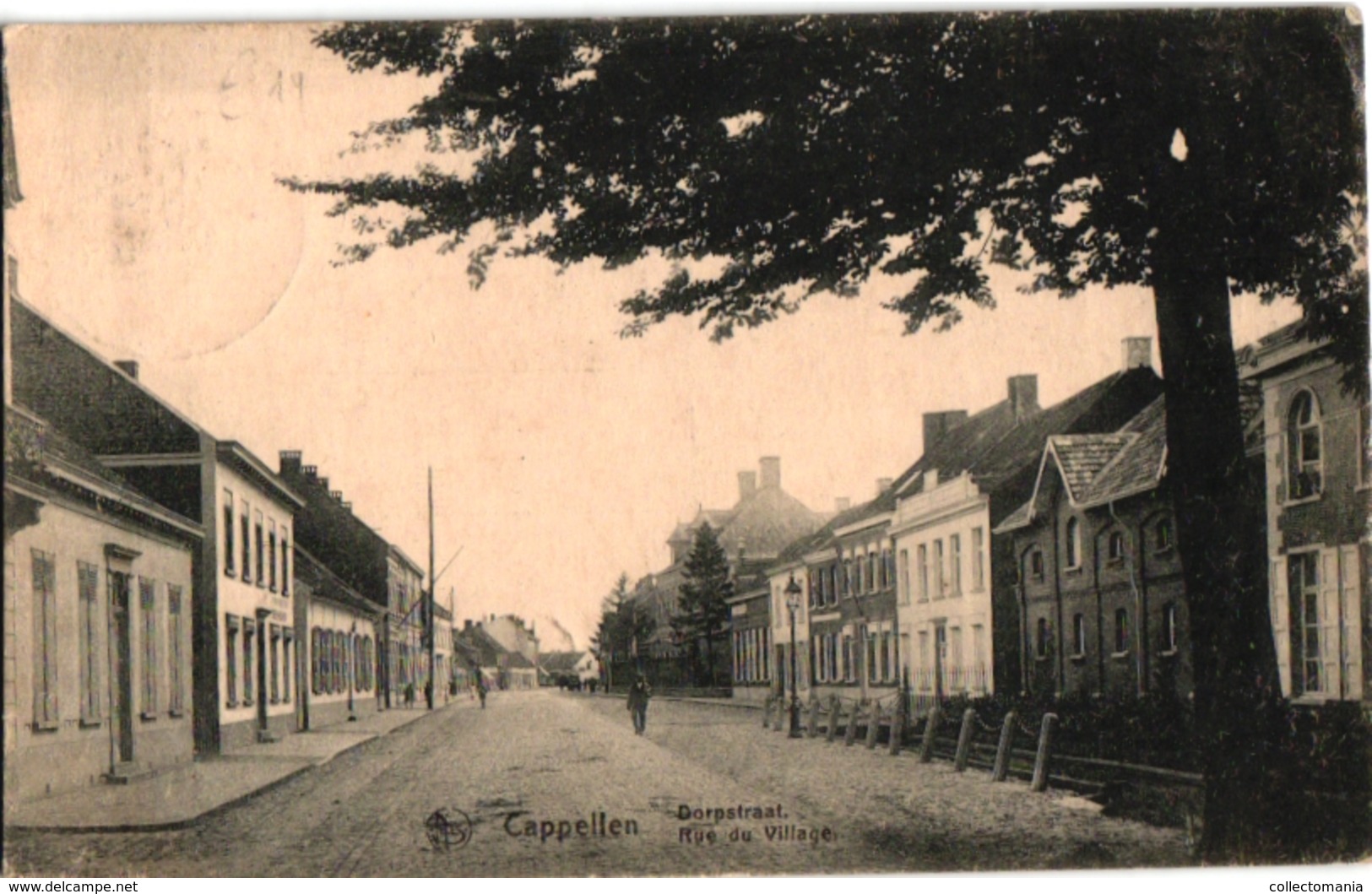 1 Postkaart Kapellen Cappellen   Dorpstraat  Rue Du Village C1919 - Kapellen