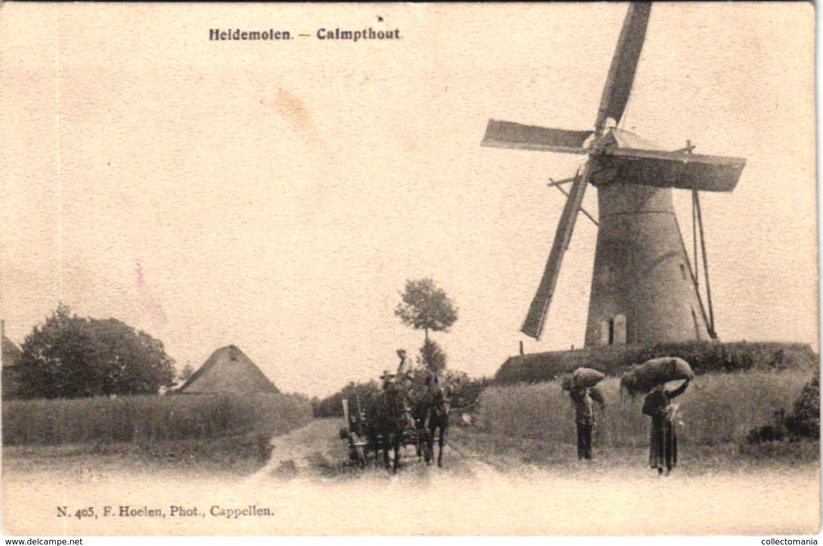 1 Postkaart Kalmphout Calmpthout Heidemolen Uitgever F.Hoelen N°405 - Kalmthout