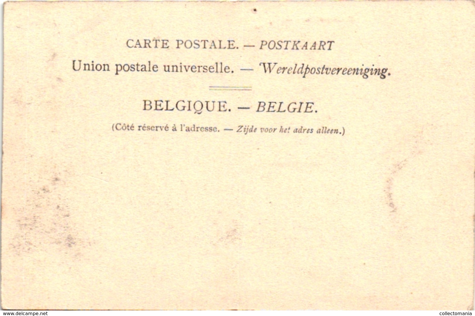 1 Postkaart Kalmphout Calmpthout Heidemolen Uitgever F.Hoelen N°405 - Kalmthout