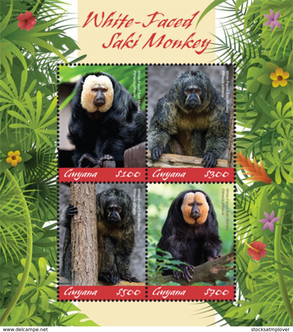 Guyana   2019  Fauna   White-faced Saki Monkey   I201901 - Guyana (1966-...)