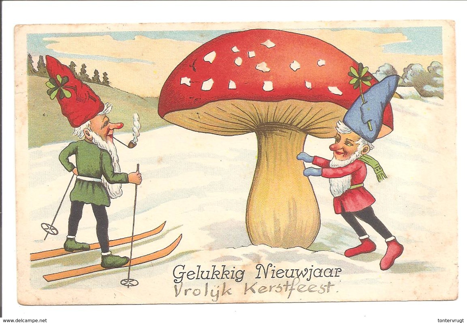 Kabouter-Gnom-Gnome-Paddenstoel-Pilz-Champignon-Mushroom - Nieuwjaar