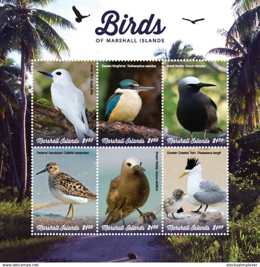 Marshall Islands   2019  Fauna  Birds Of Marshall Islands  I201901 - Marshall Islands