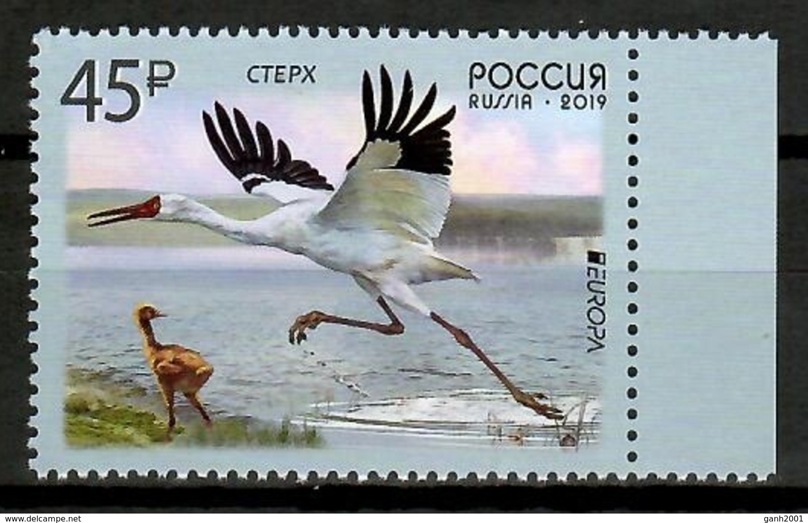 Russia 2019 Rusia / Birds Europa CEPT MNH Vögel Aves Oiseaux / Cu14003  5  (49) - Otros & Sin Clasificación