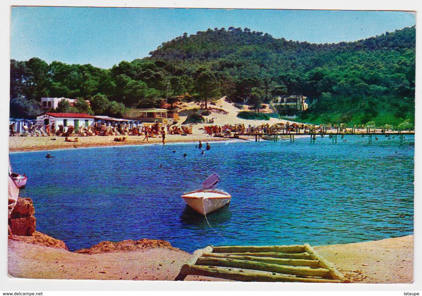 ESPAGNE - MAJORQUE - MALLORCA - CAMP DE MAR - Otros & Sin Clasificación