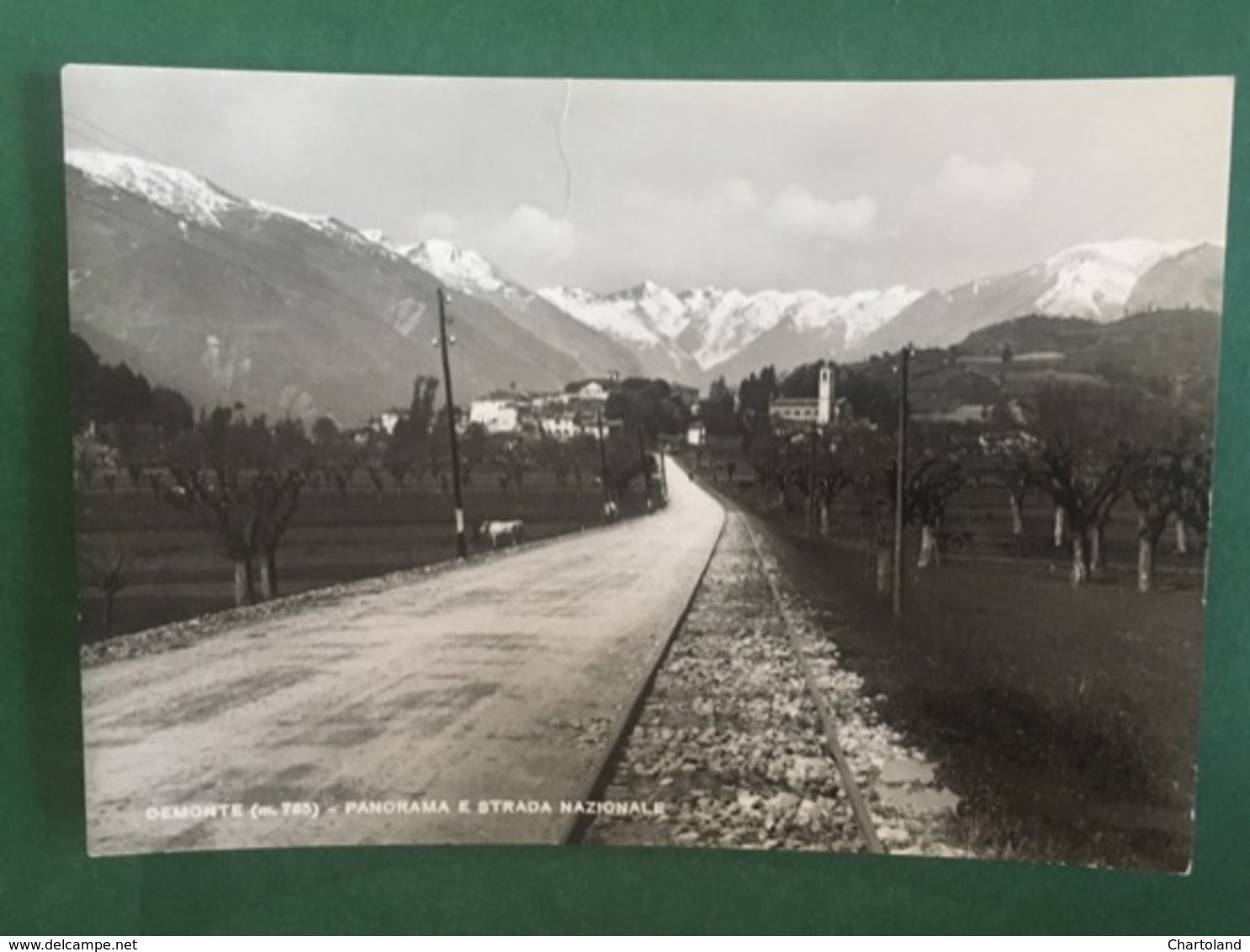 Cartolina Demonte - Panorama E Strada Nazionale - 1939 - Cuneo