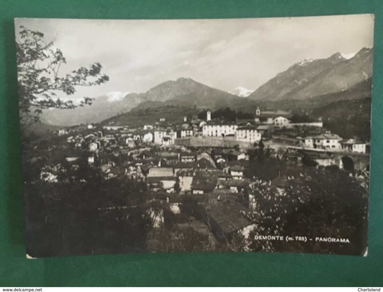 Cartolina Demonte - Panorama - 1940 - Cuneo