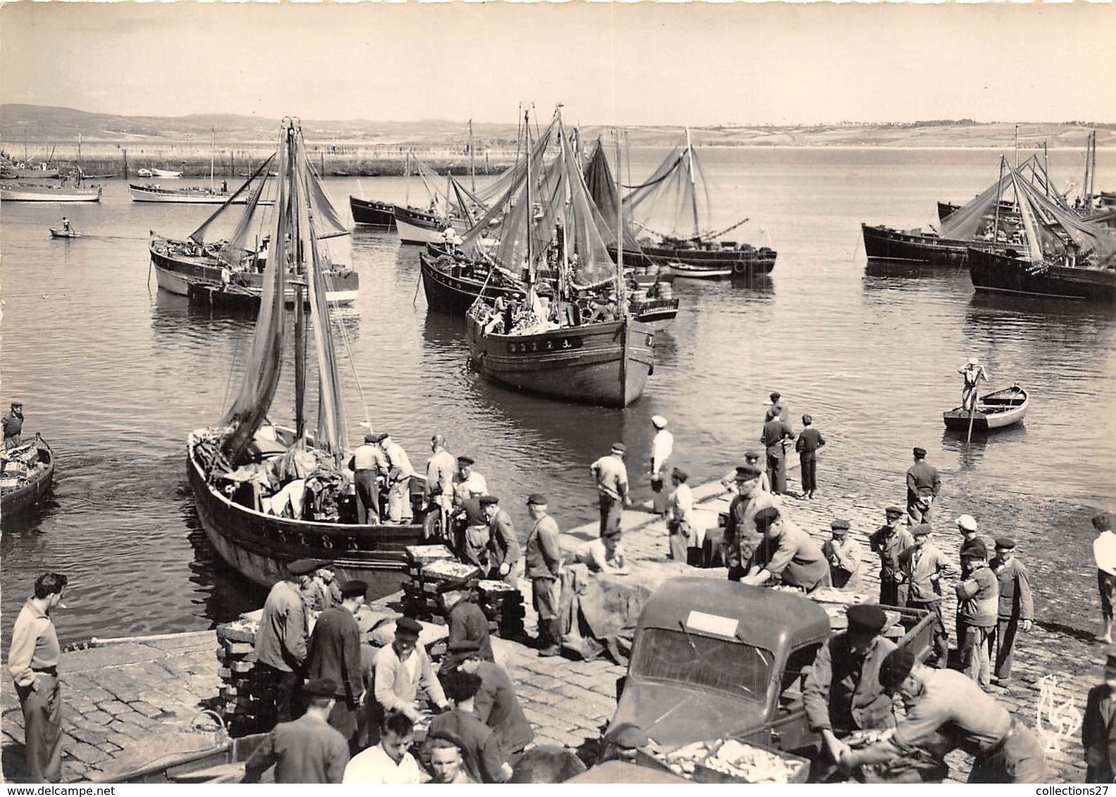 29-DOUARNENEZ- SARDINIERS DANS LE PORT - Douarnenez