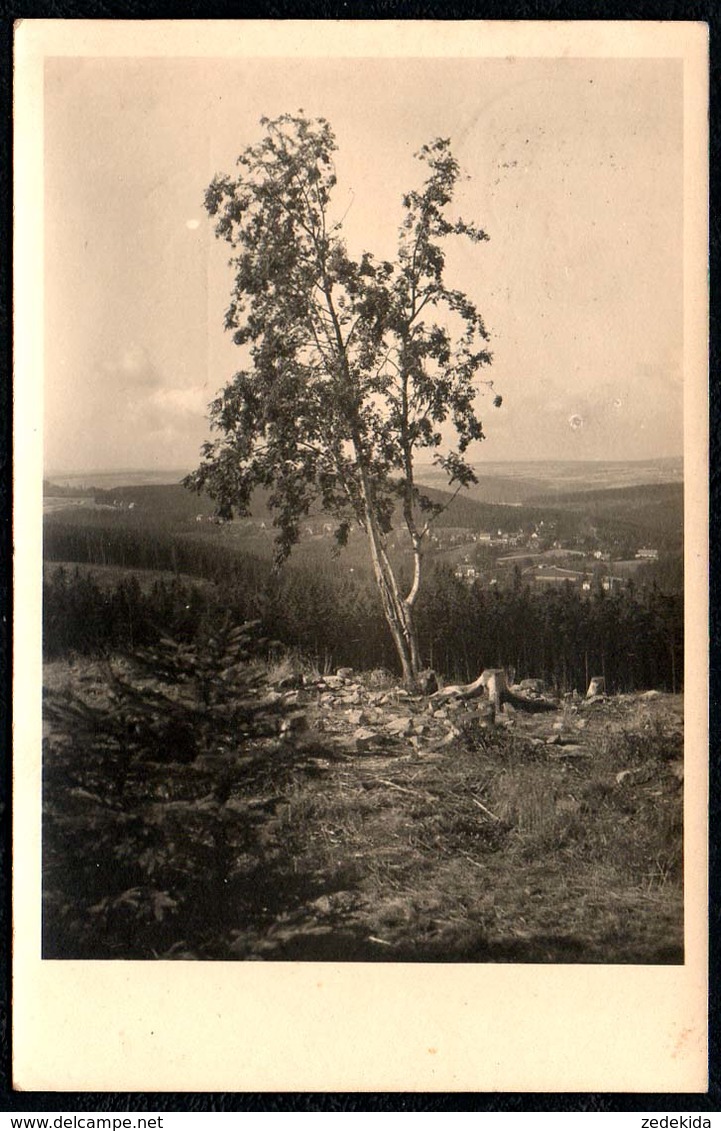 C6755 - Margarete Fuß - Kipsdorf - Kipsdorf