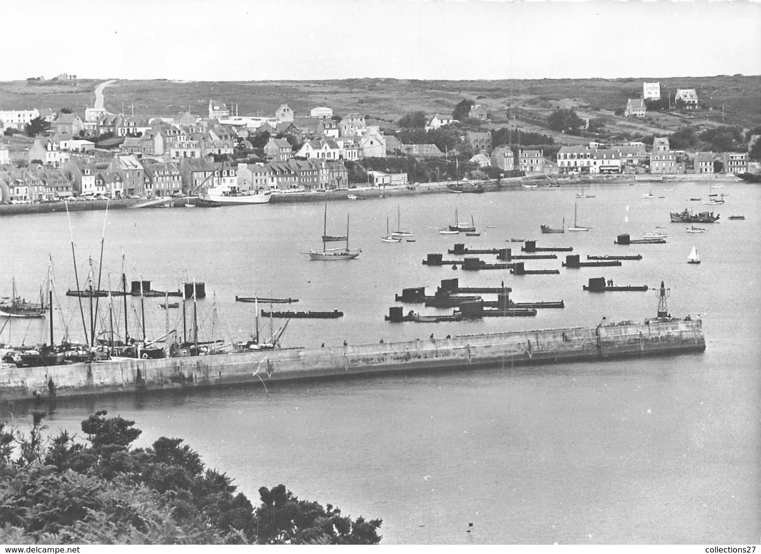 29-CAMARET- VUE GENERALE DU PORT - Camaret-sur-Mer