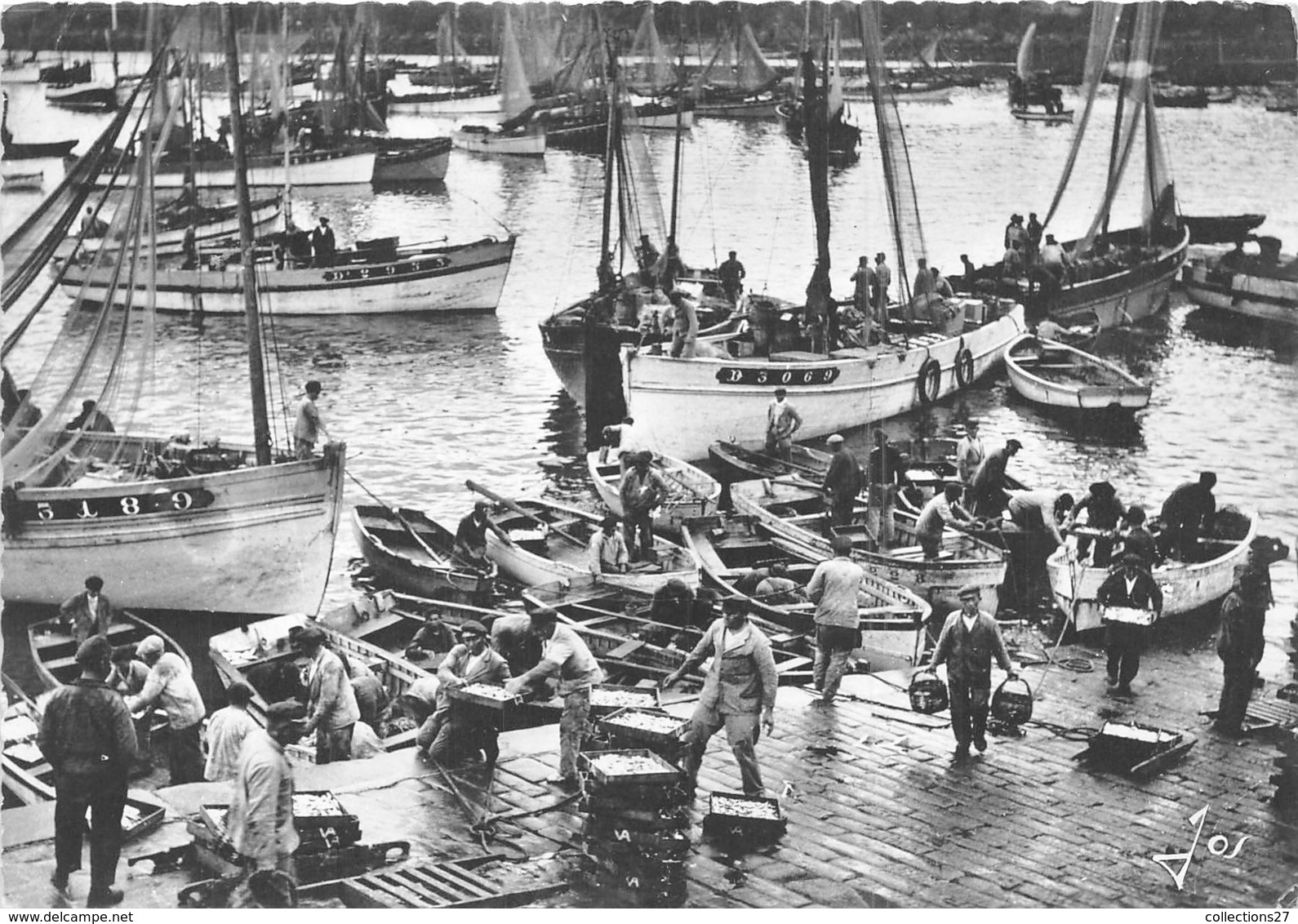 29-DOUARNENEZ- LE PORT DE PÊCHE EN PLAINE ACTIVITE AU RETOUR DES BATEAUX - Douarnenez