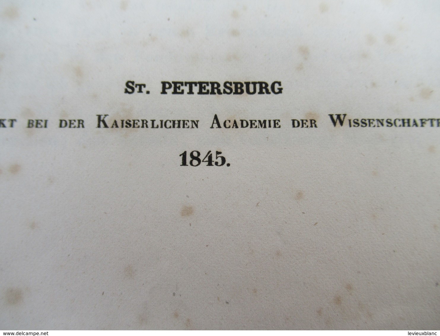 Fascicule/Botanique/über Einige Cornus-Arten Aus Der Abtheilung Thelycrania/ C A MEYER. St Petersburg/1845    MDP115 - Livres Anciens