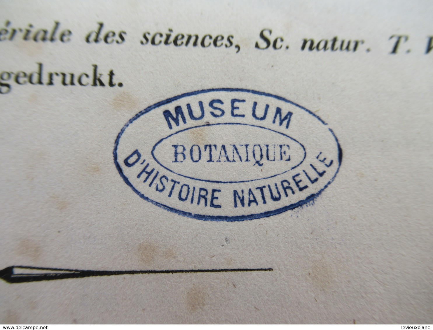 Fascicule/Botanique/über Einige Cornus-Arten Aus Der Abtheilung Thelycrania/ C A MEYER. St Petersburg/1845    MDP115 - Alte Bücher