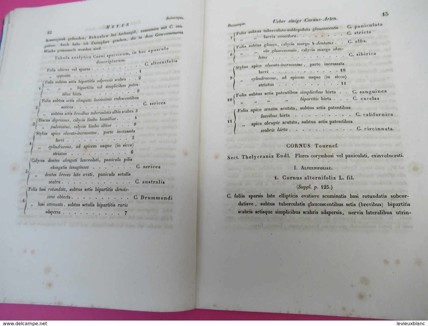 Fascicule/Botanique/über einige Cornus-Arten aus der Abtheilung Thelycrania/ C A MEYER. St Petersburg/1845    MDP115