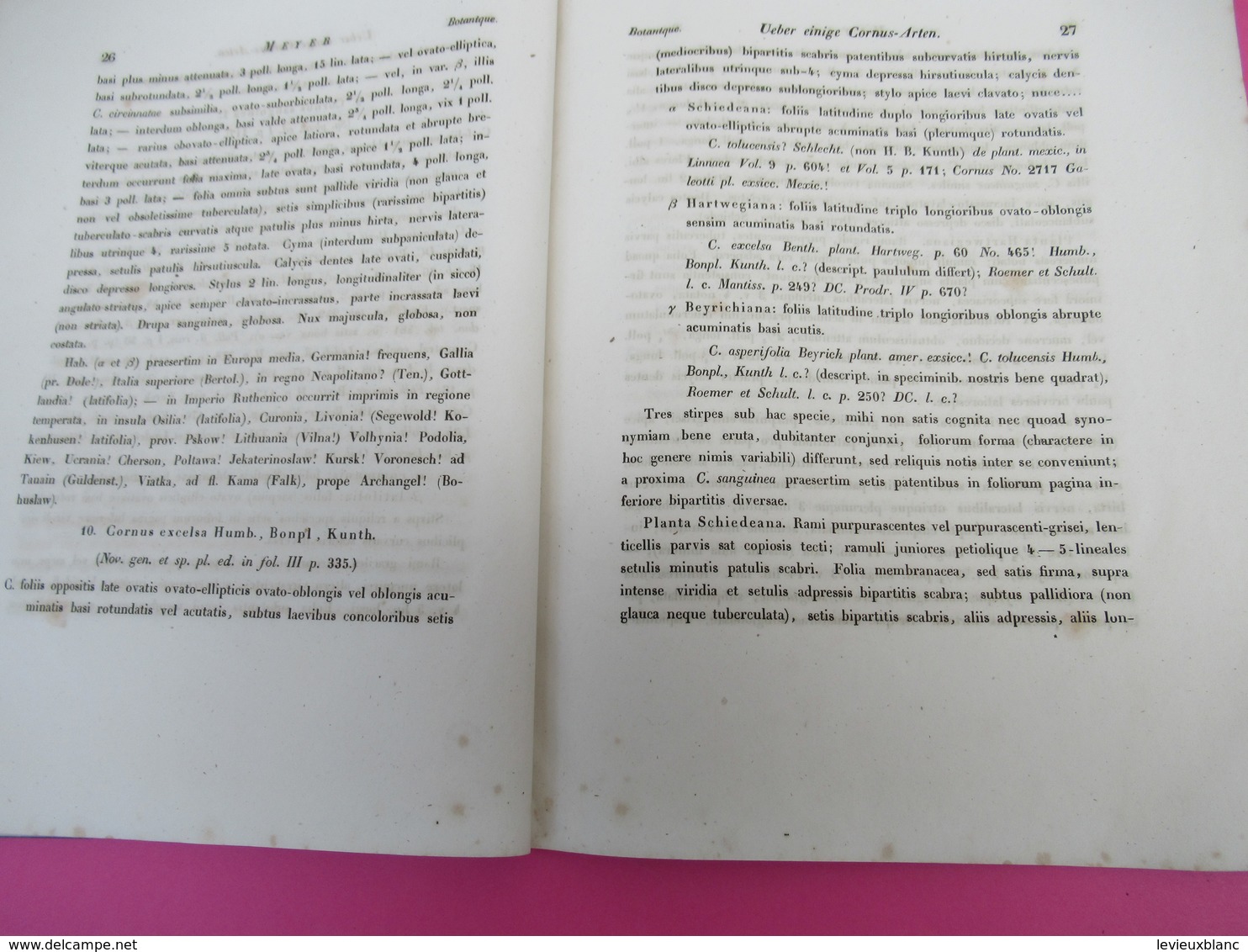 Fascicule/Botanique/über einige Cornus-Arten aus der Abtheilung Thelycrania/ C A MEYER. St Petersburg/1845    MDP115