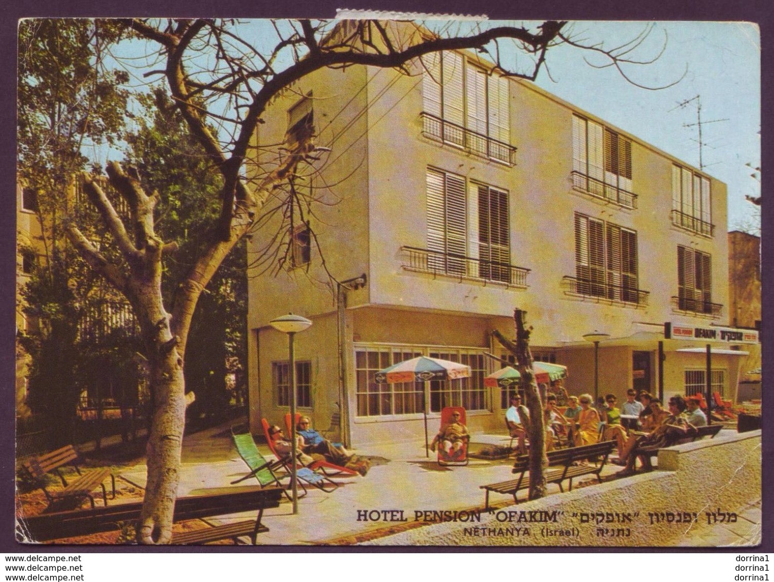 Israel Hotel Pension OFAKIM Nathanya 1979 Color Postcard Casher L'mehadrin - Judaica - Jewish