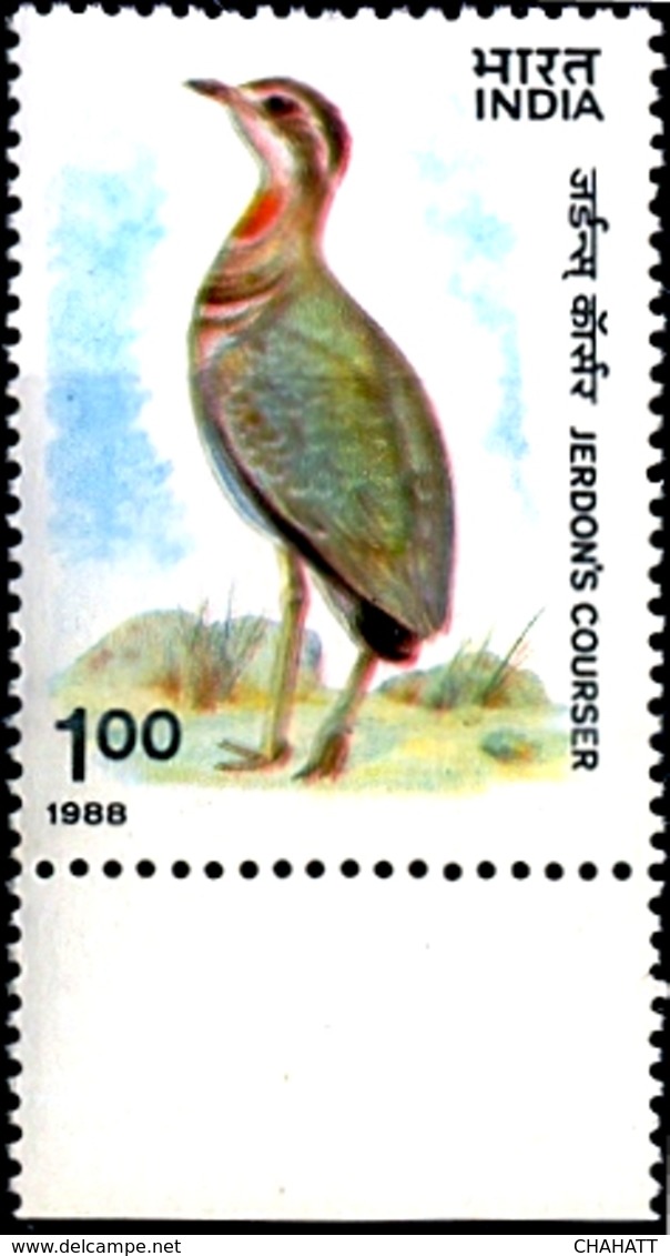 BIRDS-JERDON'S COURSER-ERROR-COLOR SHIFT- INDIA-1988 - SCARCE- MNH- B9-892 - Grues Et Gruiformes