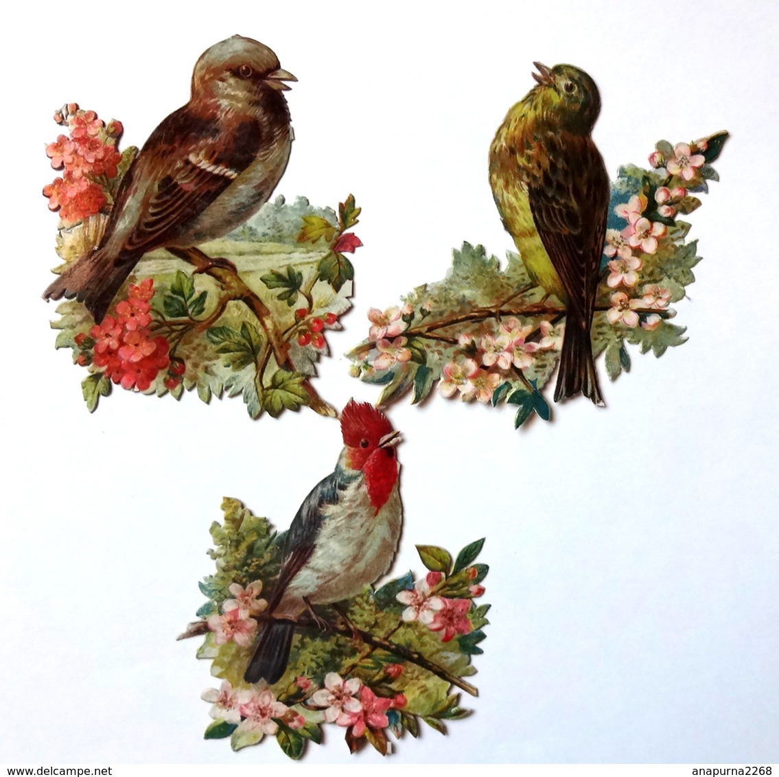 3  CHROMOS DECOUPIS....... H : 8.5  Cm   . OISEAUX SUR UNE BRANCHE FLEURIE - Animals