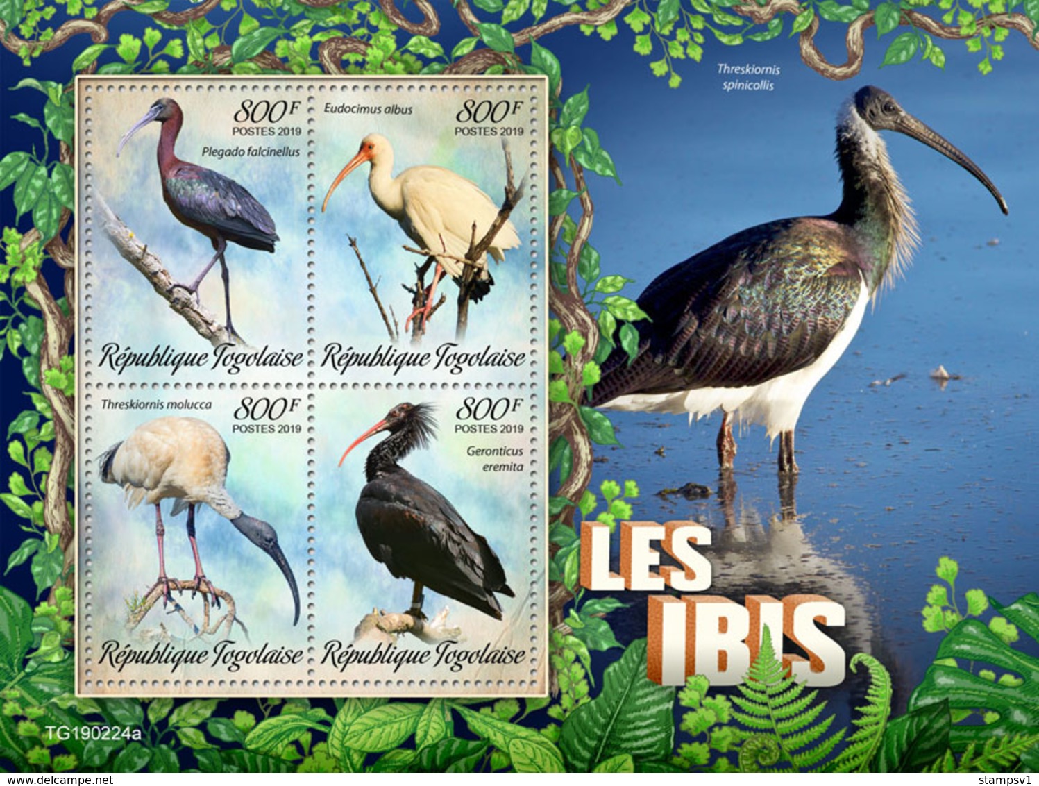 Togo.  2019  Ibis. (0224a)   OFFICIAL ISSUE - Cigognes & échassiers