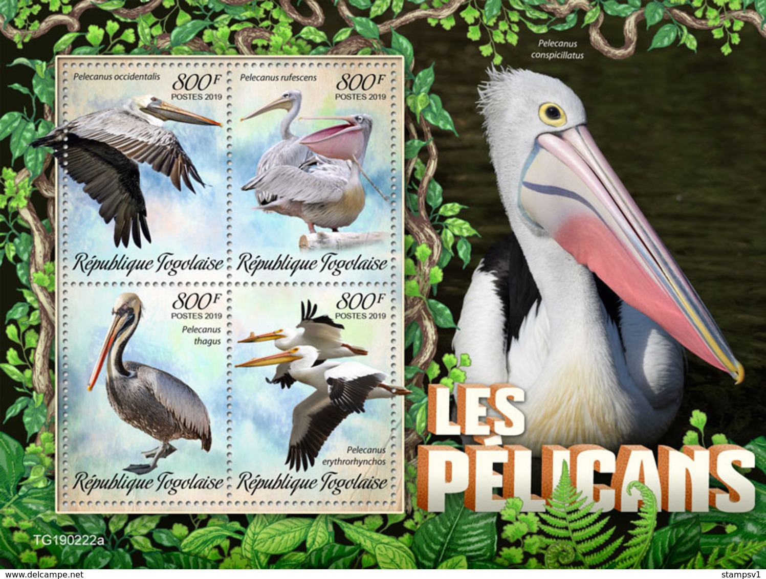 Togo.  2019  Pelicans. (0222a)   OFFICIAL ISSUE - Pélicans