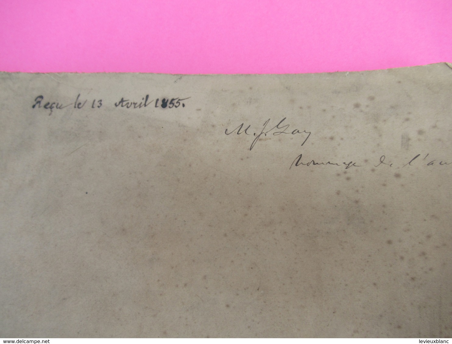 Fascicule/Botanique/Plantae Novae Thurberianae/New  Genra And Species Of Plants/George THURBER/ Asa GRAY/1854   MDP117 - Other & Unclassified