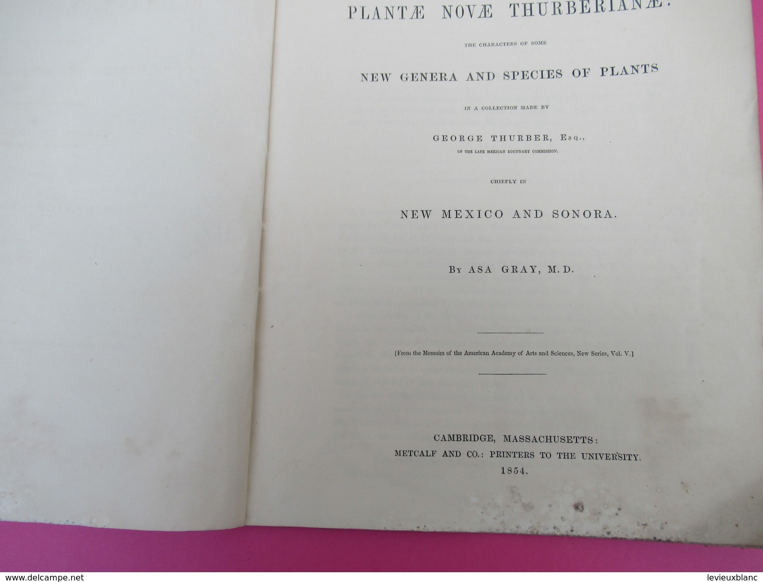 Fascicule/Botanique/Plantae Novae Thurberianae/New  Genra And Species Of Plants/George THURBER/ Asa GRAY/1854   MDP117 - Sonstige & Ohne Zuordnung