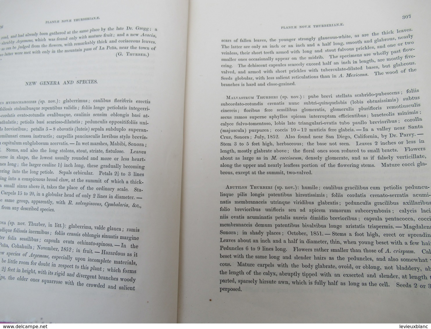 Fascicule/Botanique/Plantae Novae Thurberianae/New  genra and Species of Plants/George THURBER/ Asa GRAY/1854   MDP117