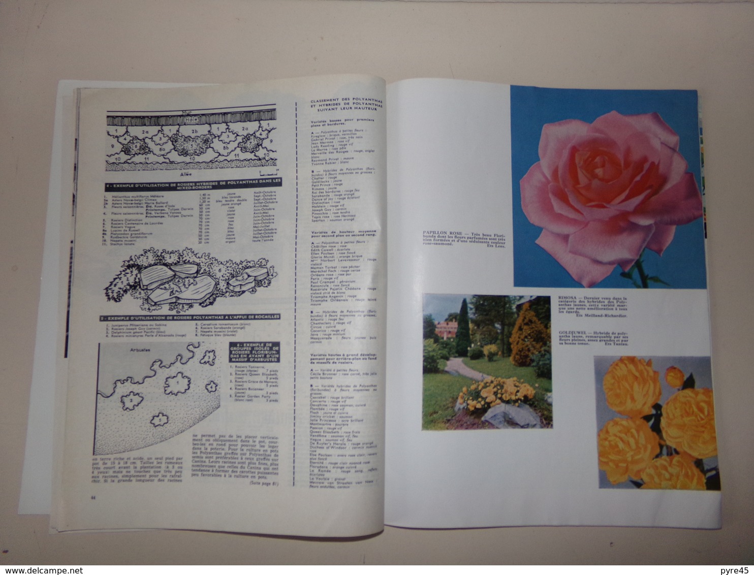 Revue " Mon Jardin Et Ma Maison " N° 25, 1960 - Garden