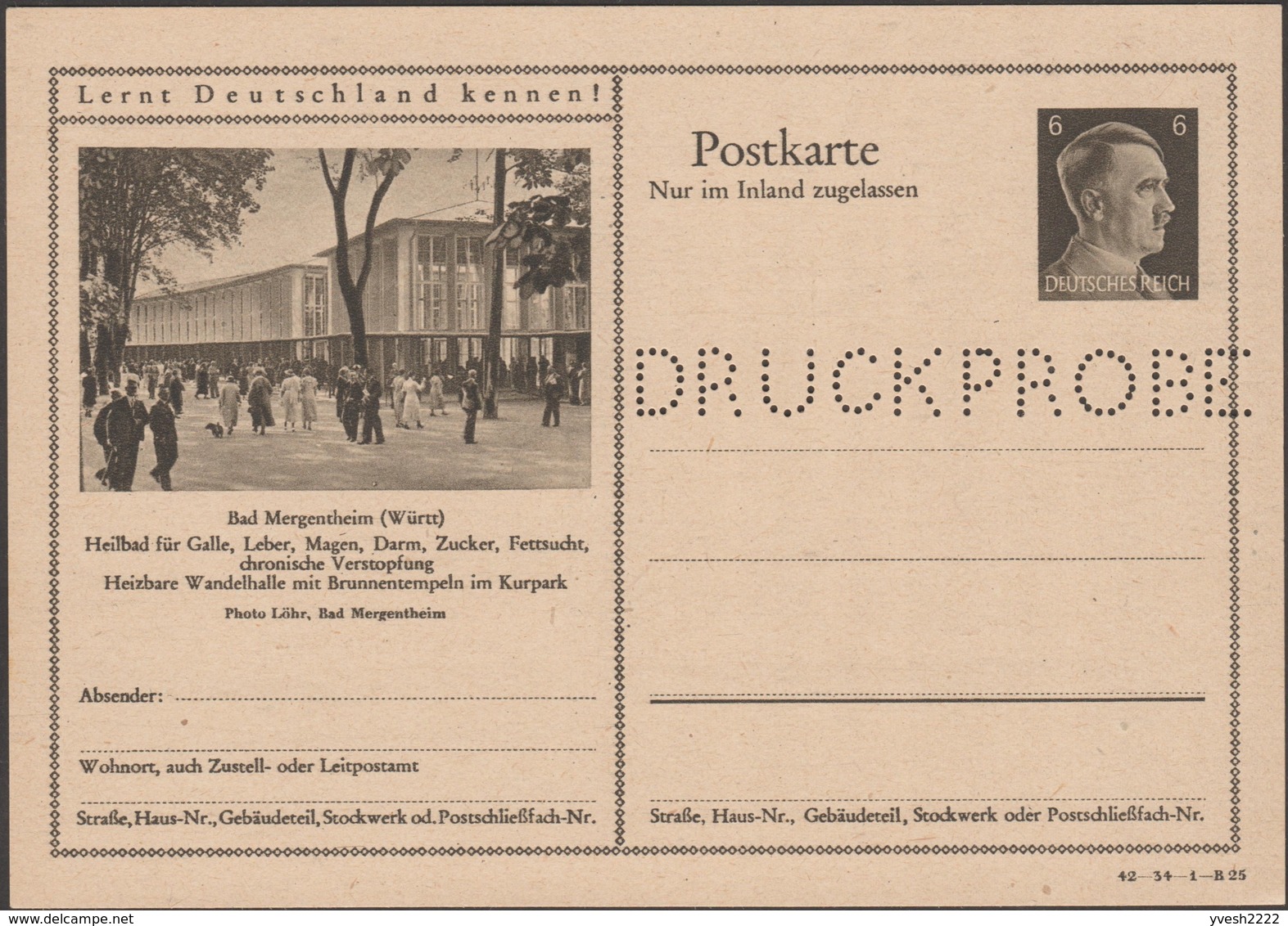 Allemagne 1942. 3 Entiers Postaux Touristiques Perforés Druckmuster, Spécimen. Maladies De L'estomac, Intestin, Diabète - Bäderwesen