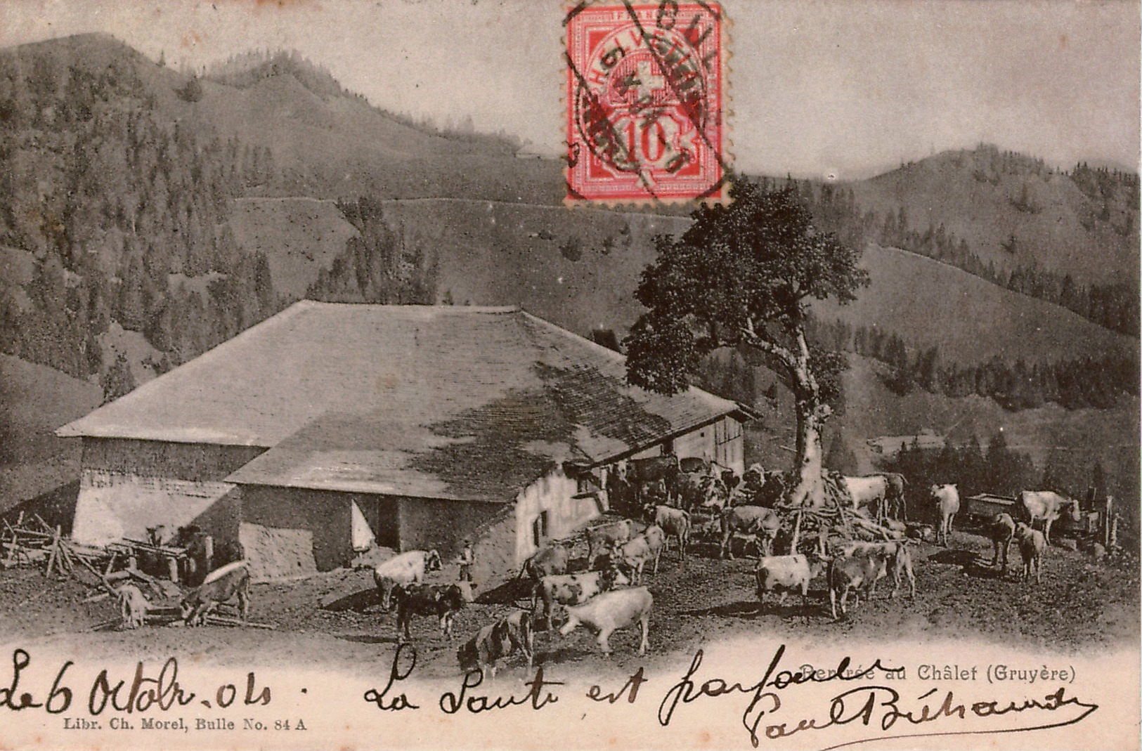 Cpa SUISSE / SCHWEITZ  FR  Région De La Gruyère Rentrée Au Châlet , Troupeau De Bovins Et Gardien , Envoi De Bulle 1904 - Bulle