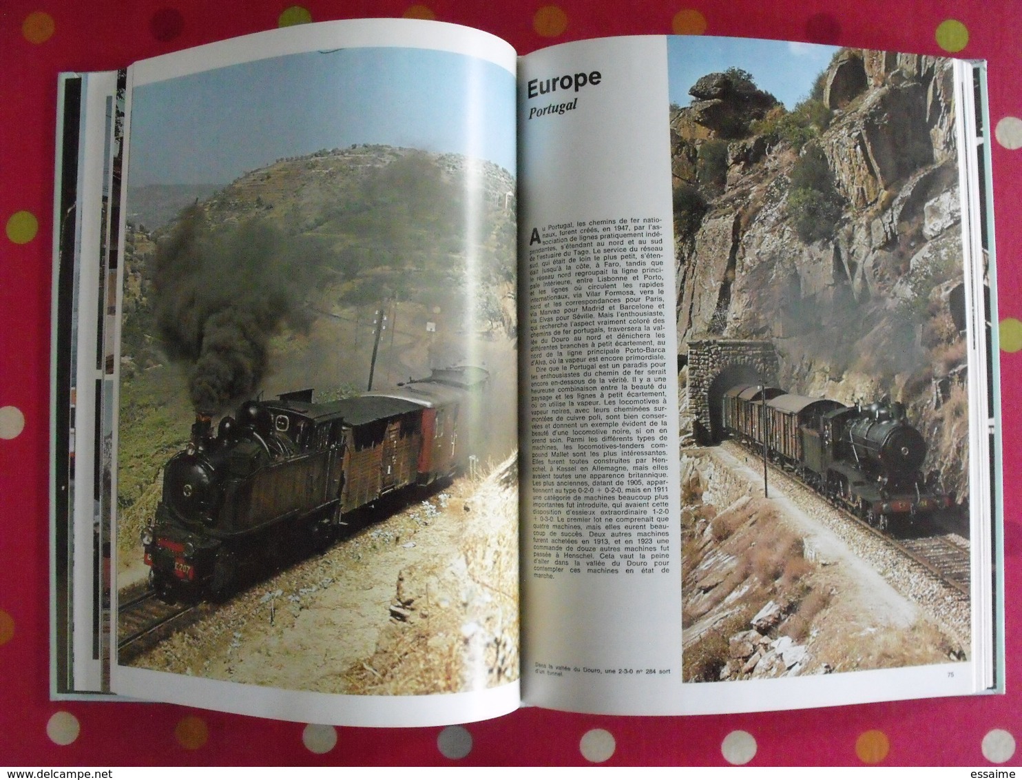 le monde fascinant des trains. david s. hamilton. Colinet Derogis. gründ 1977. bien illustré