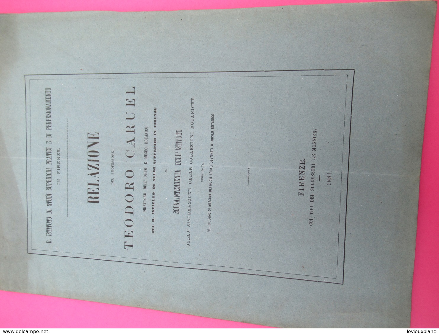 Botanique/sopraintendente Dell' Istituto Sulla Sistemazione Delle Collezioni Botaniche/Teodor CARUEL/Firenze/1881 MDP118 - Old Books