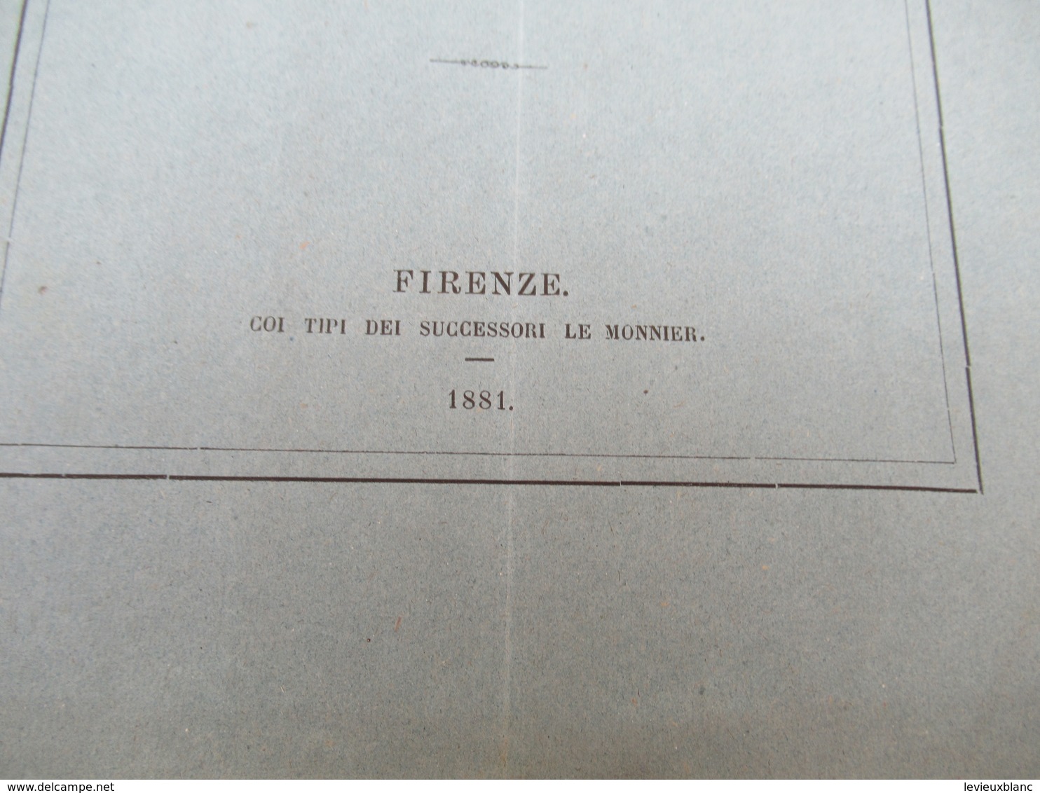 Botanique/sopraintendente Dell' Istituto Sulla Sistemazione Delle Collezioni Botaniche/Teodor CARUEL/Firenze/1881 MDP118 - Alte Bücher