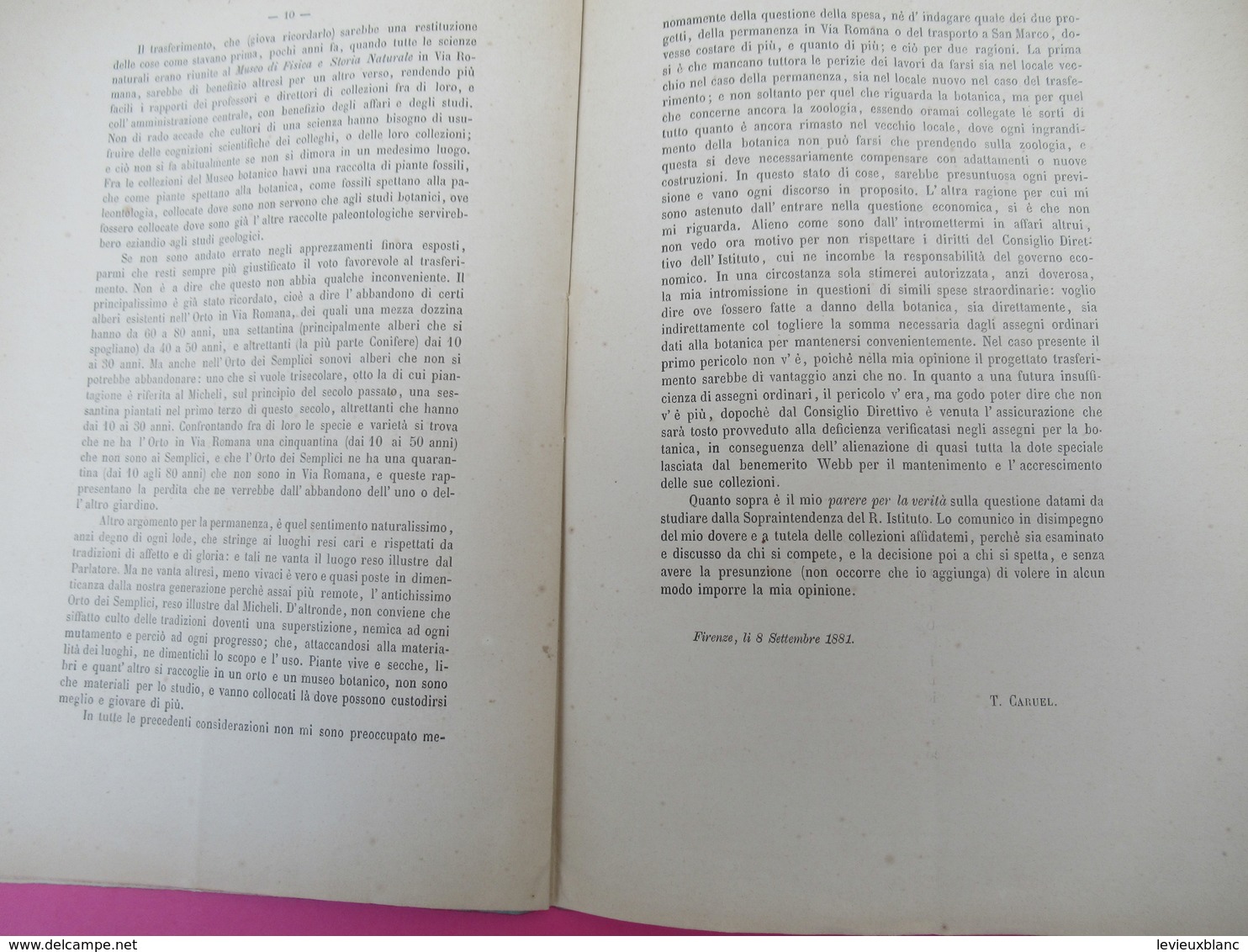 Botanique/sopraintendente Dell' Istituto Sulla Sistemazione Delle Collezioni Botaniche/Teodor CARUEL/Firenze/1881 MDP118 - Old Books