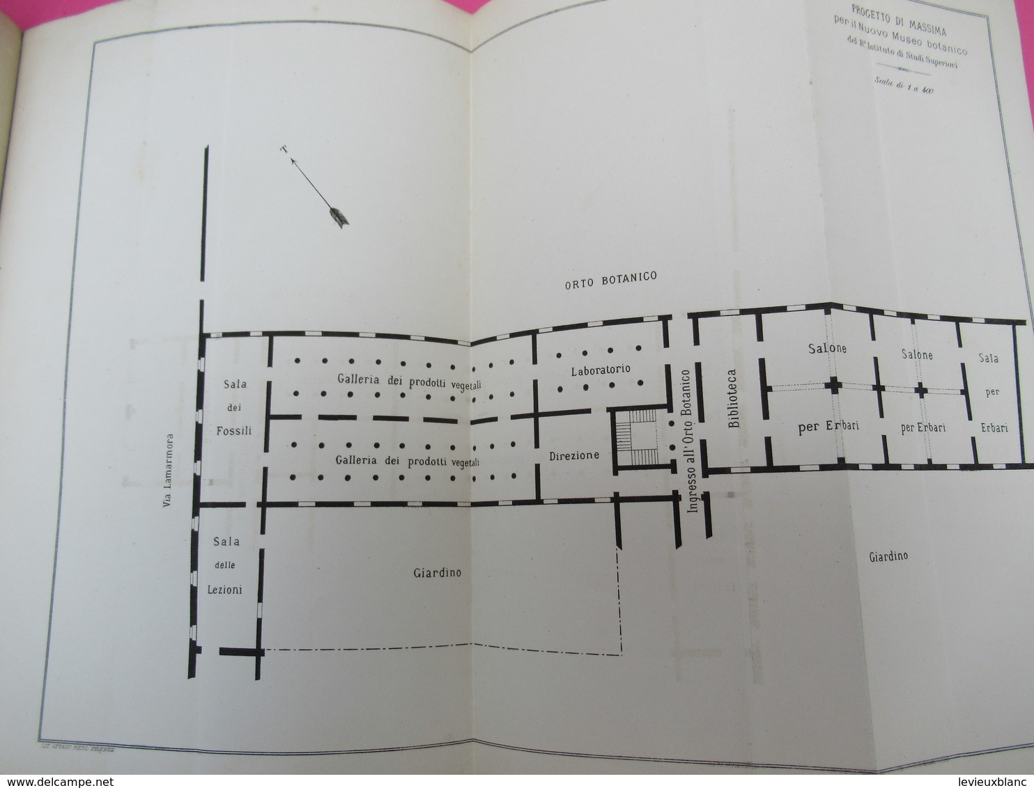 Botanique/sopraintendente Dell' Istituto Sulla Sistemazione Delle Collezioni Botaniche/Teodor CARUEL/Firenze/1881 MDP118 - Alte Bücher