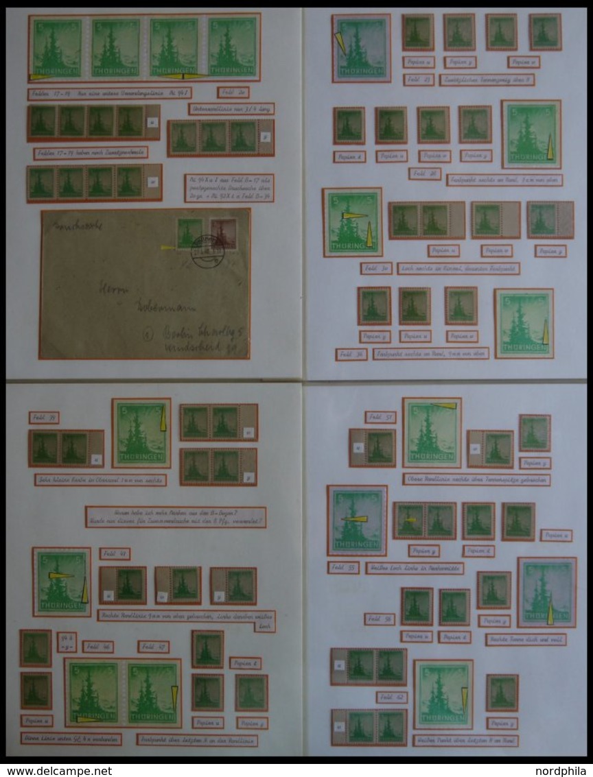 THÜRINGEN 94 **,o,Brief,* , Ausstellungssammlung 5 Pf. Tannen Im Thüringer Wald, Spezialisiert Nach Papieren, Farben Und - Other & Unclassified