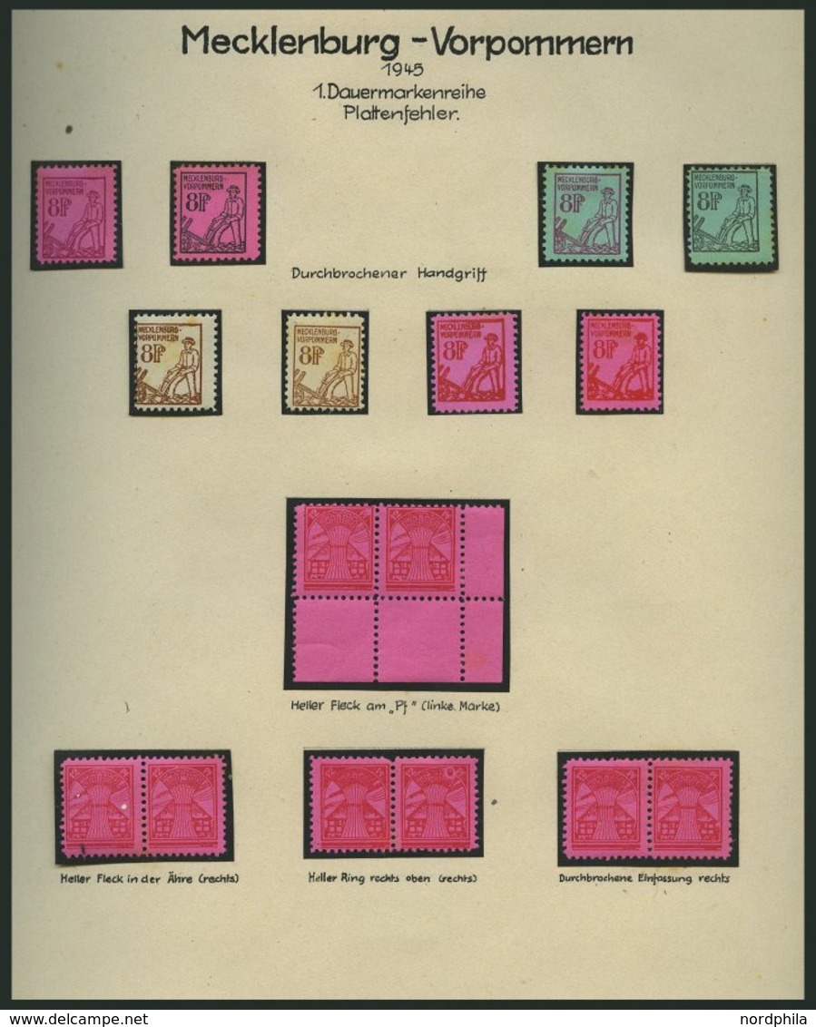 SAMMLUNGEN, LOTS *, Ungebrauchte Sammlung Sowjetische Zone Mit Einigen Besonderheiten, Mecklenburg-Vorpommern Gut Vertre - Otros & Sin Clasificación