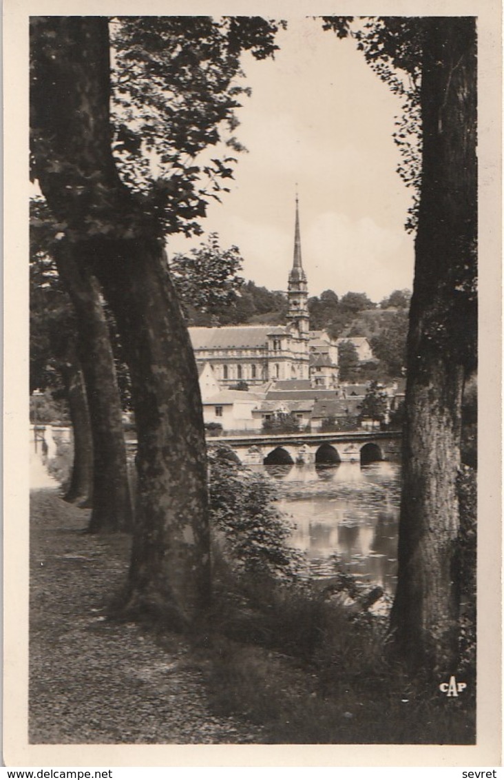 MONTBELIARD. - Paysage Sur Les Rives De L'Allaine. Cliché Pas Courant - Montbéliard