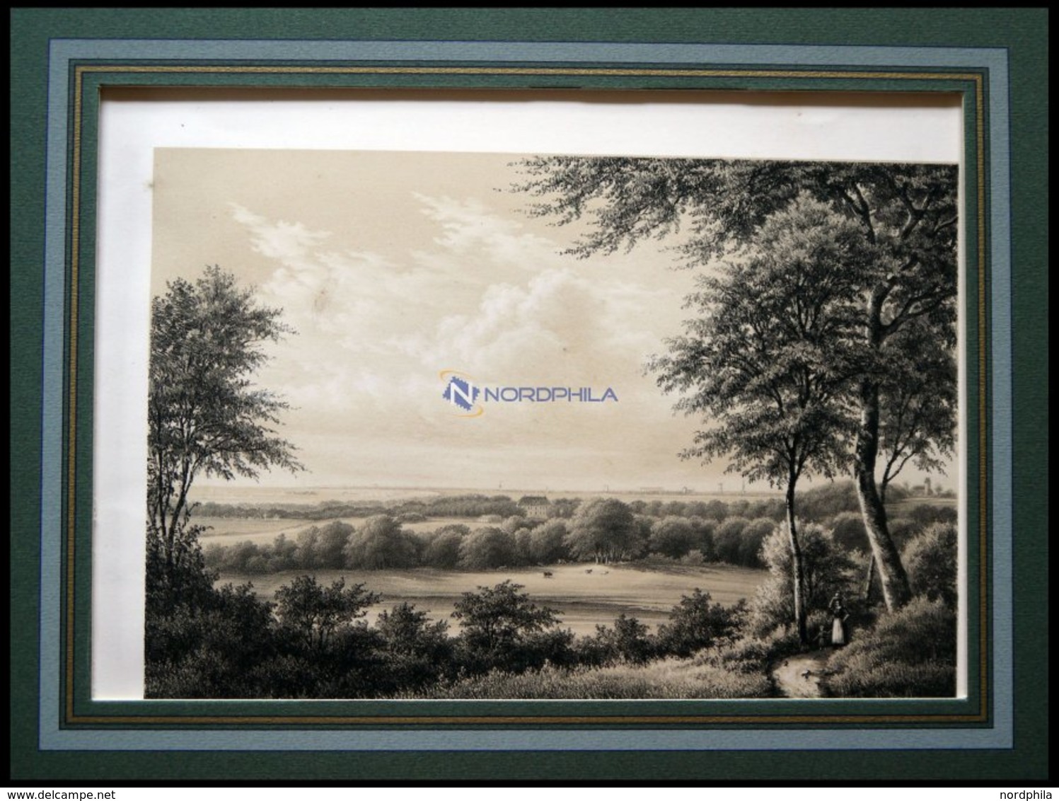 KOPENHAGEN: Aussicht Von Fortuna, Getönte Lithographie Von Kierschou/ Baerentzen 1856 - Litografía