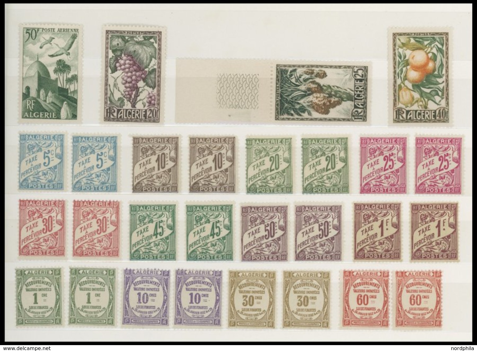 ALGERIEN **, Postfrische Partie Algerien Von 1924-50, Prachterhaltung - Algérie (1962-...)